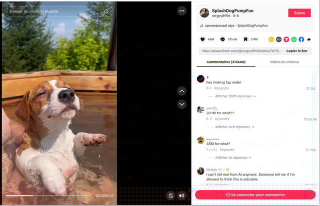 Image TikTok 46.x